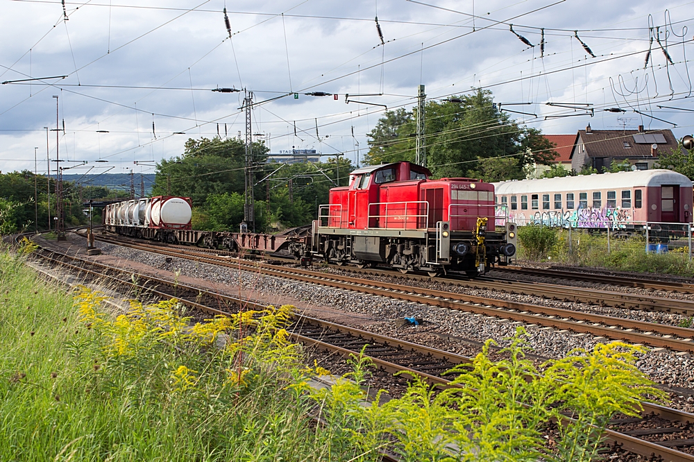  (20140829-181200_294 645_Dillingen_EK 55940_Katzenschwänz-SDL_b.jpg)