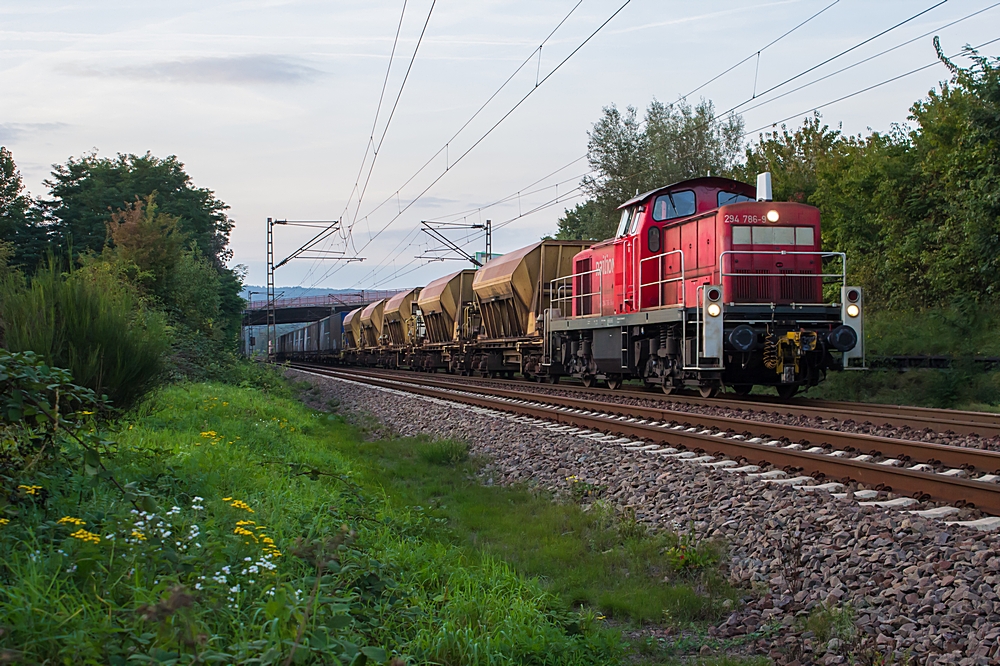  (20140915-193550_294 786_Dillingen_EK 55940_Katzenschwänz-Dillingen_b.jpg)