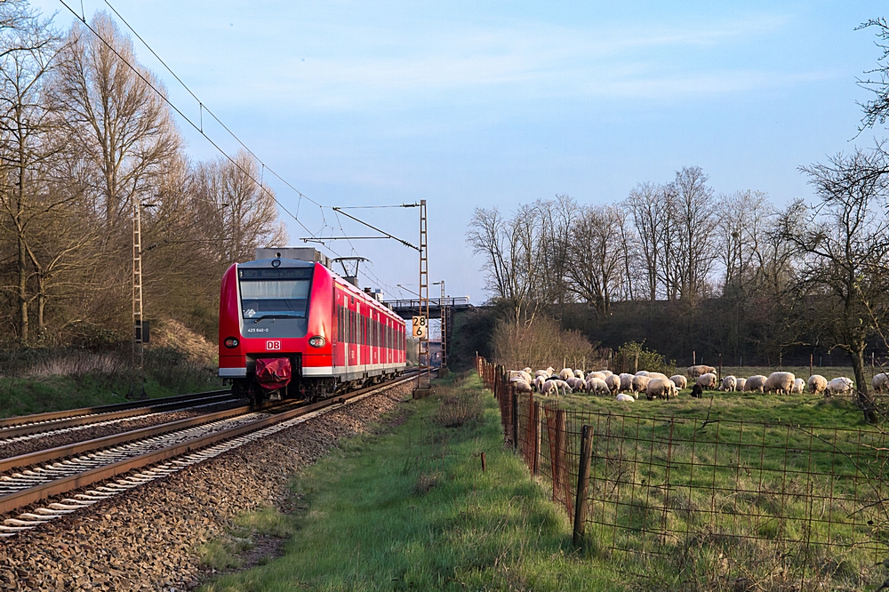  (20150408-191540_425 640_Dillingen_b.jpg)