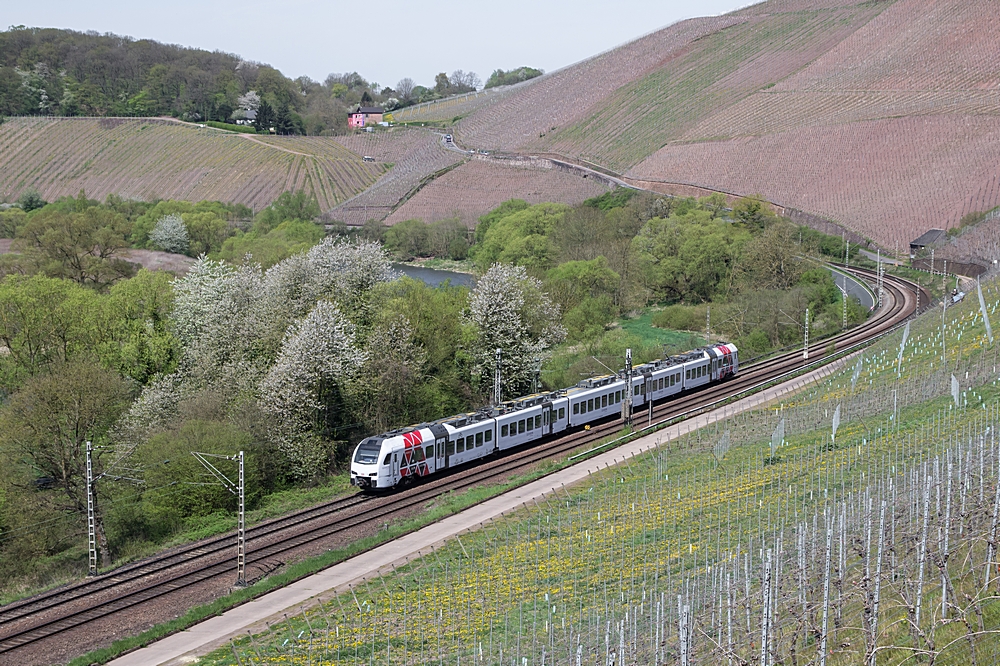  (20150421-124450_429 615_Wiltingen_RE 4110_KKO-SSH_b.jpg)