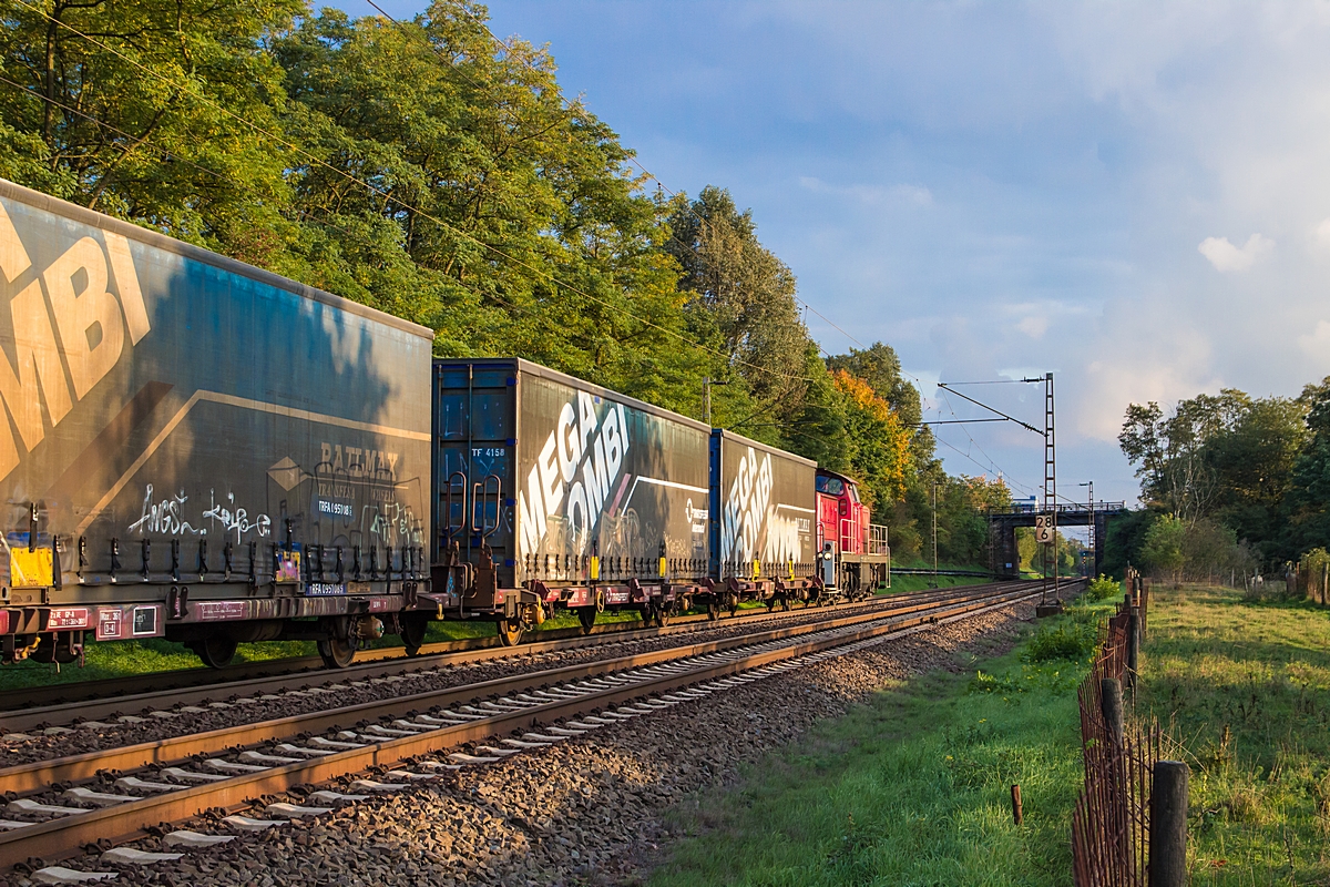  (20151009-181628_294 740_Dillingen Nord_EK 55940_Katzenschwänz-SDL_b2.jpg)