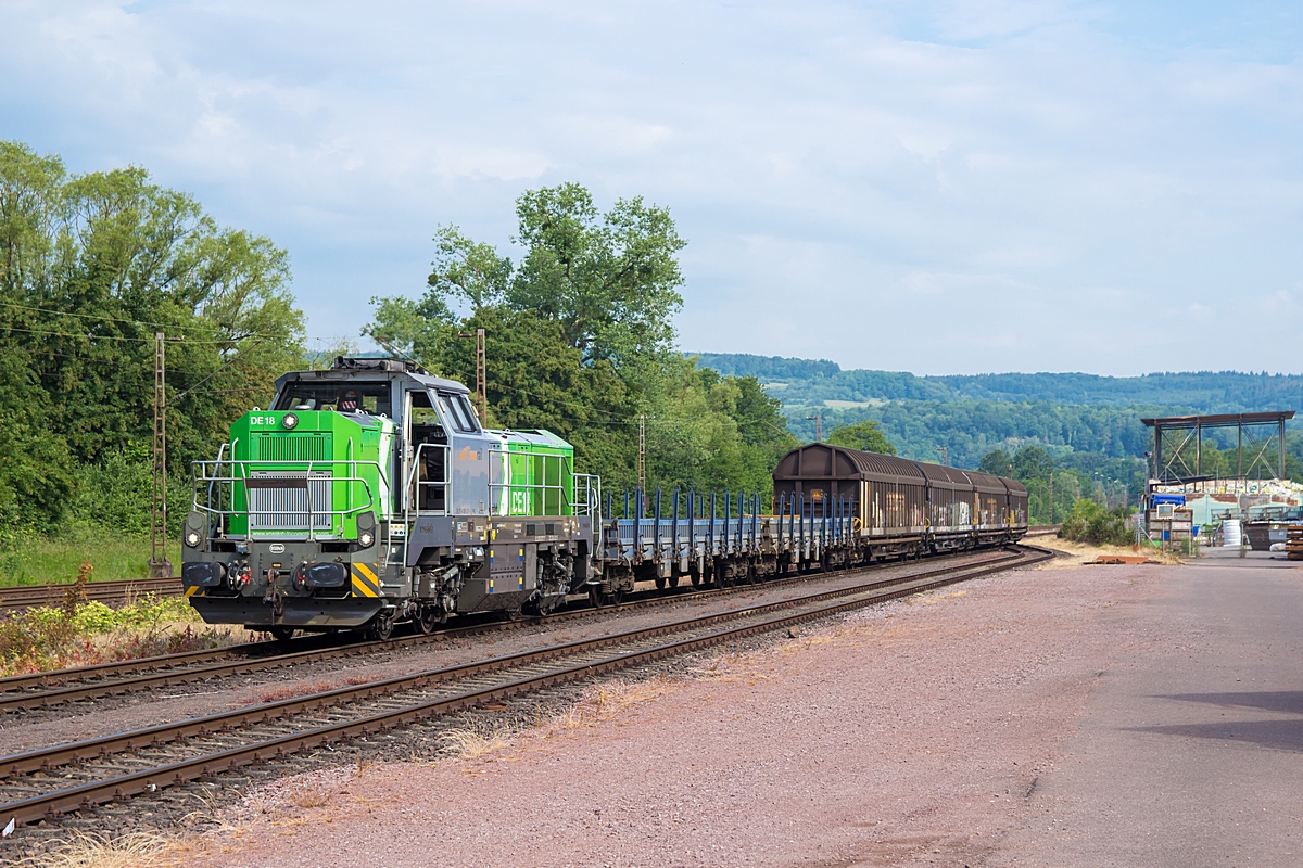  (20200609-101034_4185 001_Dillingen-Katzenschwänz_a.jpg)