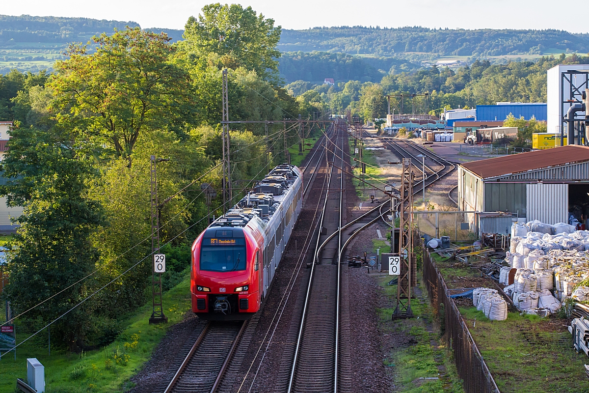  (20230815-193023_429 605_Dillingen-Katzenschwänz_RE 4124_KKO-RM_b1.jpg)