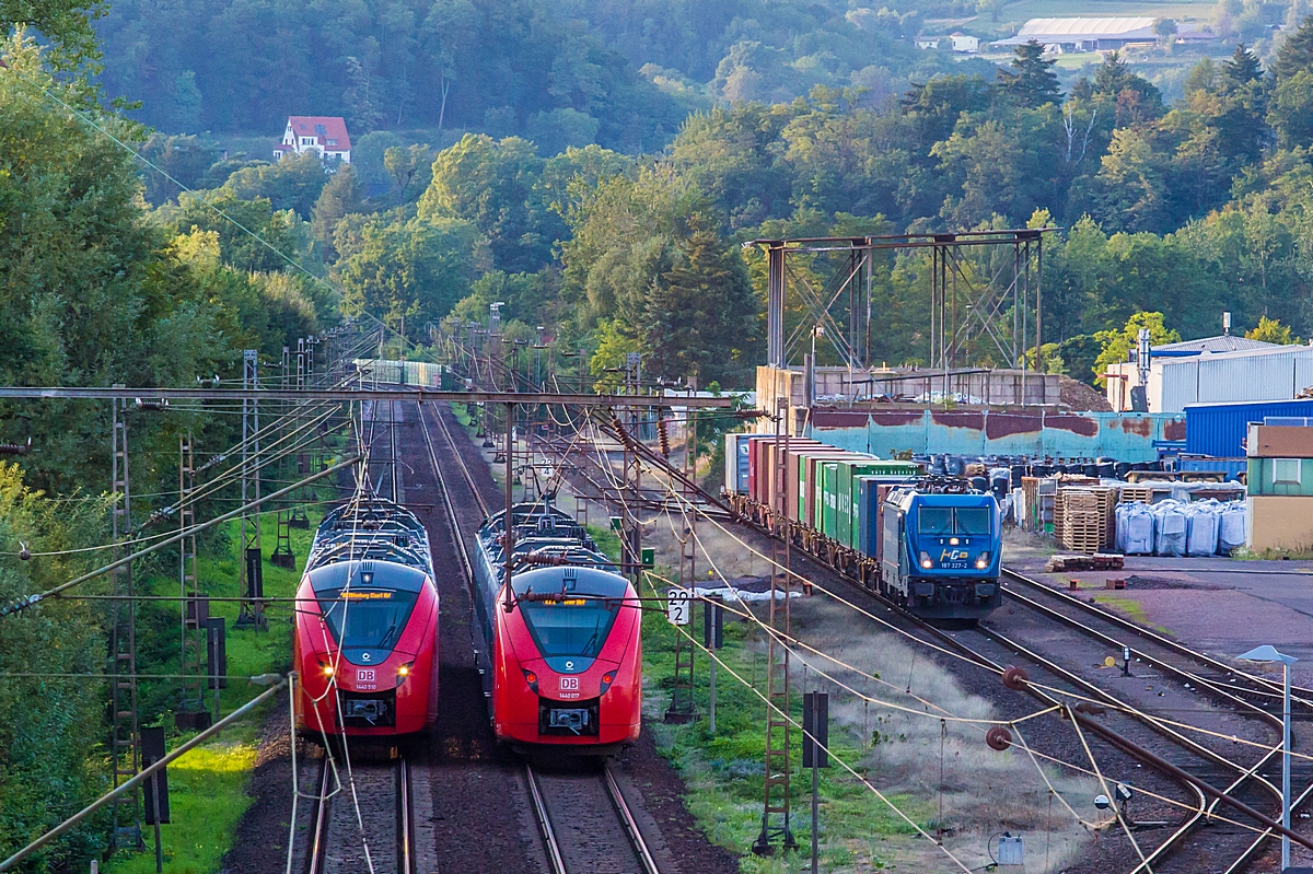  (20230815-200059_187 327_Dillingen-Katzenschwänz_DGZ 95262_SHO-SDLK_a1.jpg)