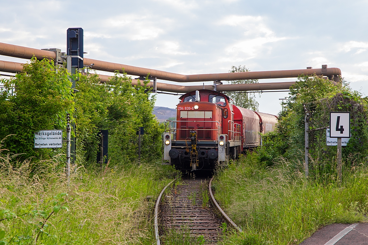  (20240606-072103_294 839_SLS-Röderberg_EZK 55016_SDL-Röderberg_b2.jpg)