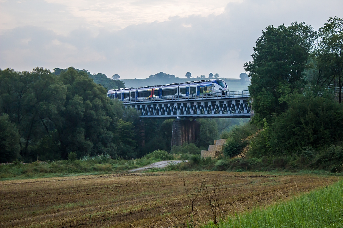  (20140801-071258_Wittring_TER 830905_Sarreguemines-Krimmeri-Meinau_b.jpg)