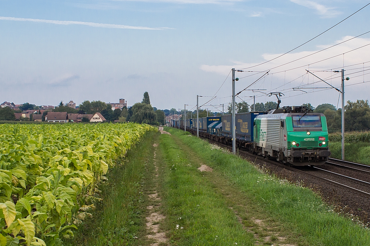  (20140905-182352_SNCF 437052_Hochfelden_a2.jpg)