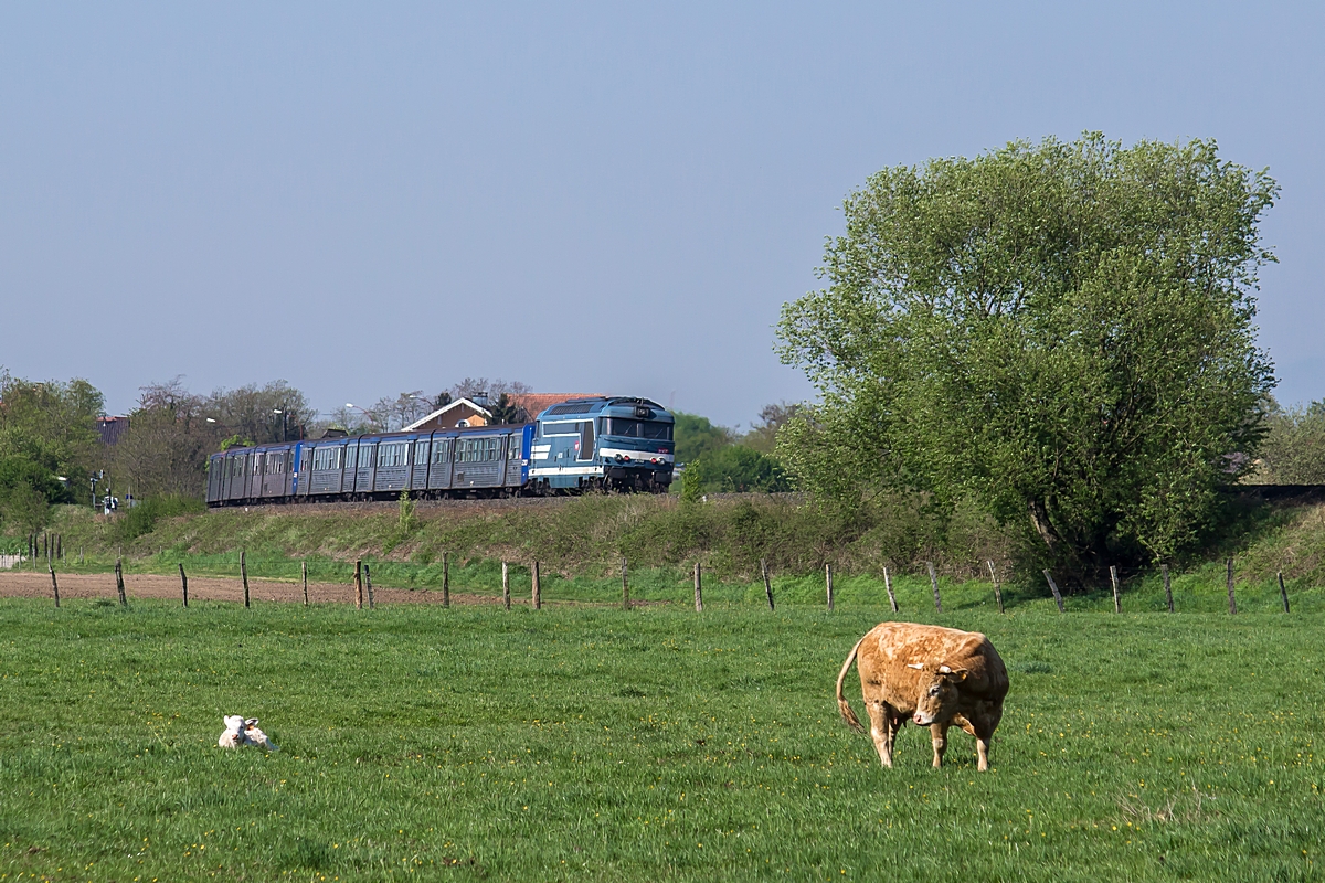  (20150422-103652_SNCF 67512_Hoerdt_TER 830525_Wissembourg-Strasbourg_a.jpg)