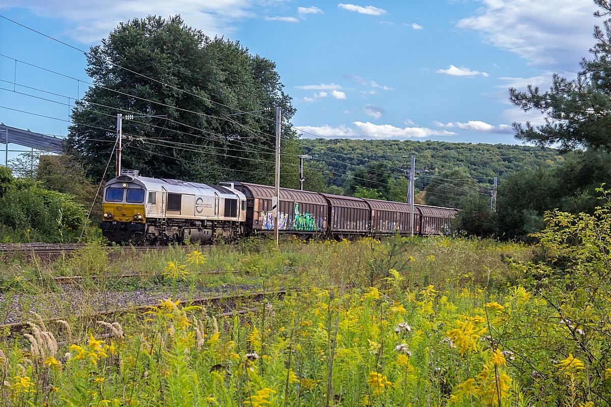  (20150825-181908_ECR 77028_Cocheren_Boschzug MA100 460551_Châlons-en-Champagne - Forbach - RMR_b.jpg)