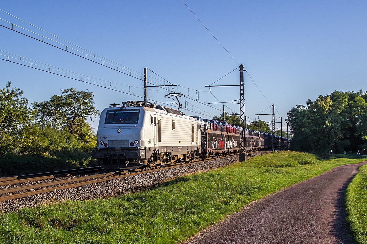  (20150830-081030_37525_Morey-Saint-Denis_61995_Gefrey Triage - St Jory_b1.jpg)