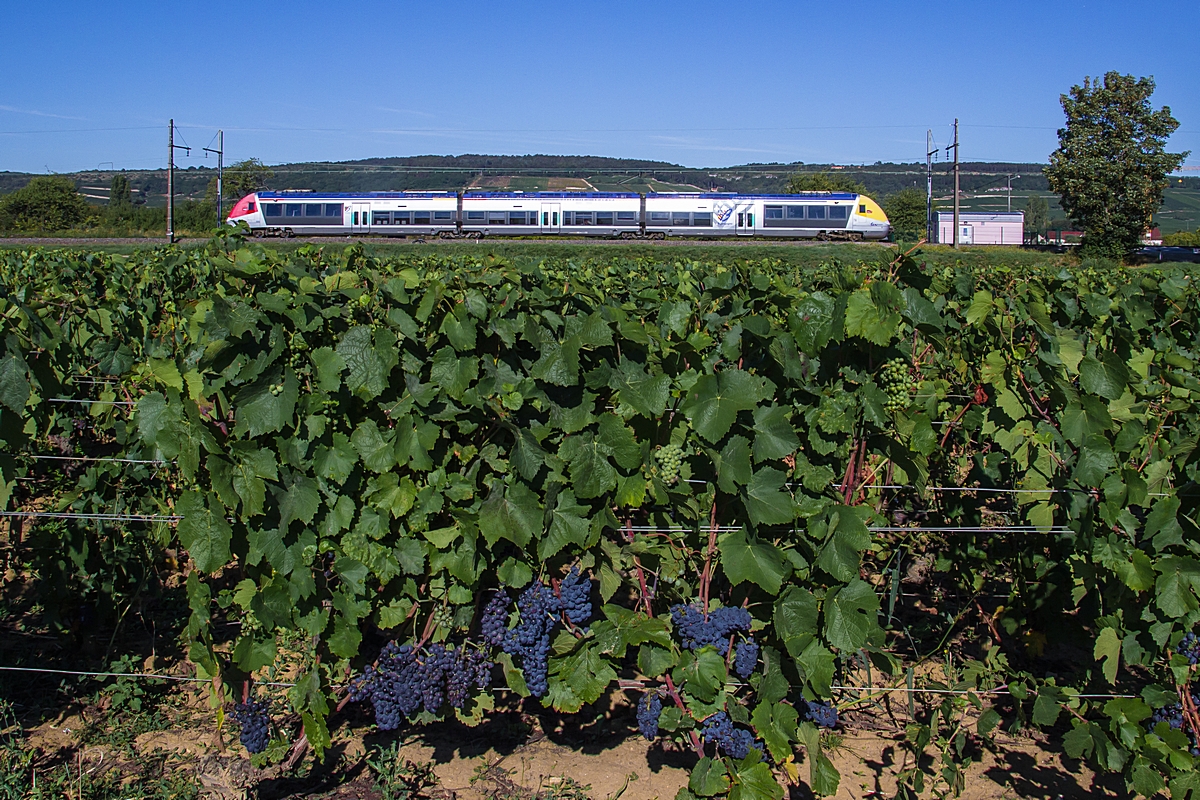  (20150830-095920_Morey-Saint-Denis_TER 891412_Chalon-sur-Saone - Dijon Ville_a.jpg)