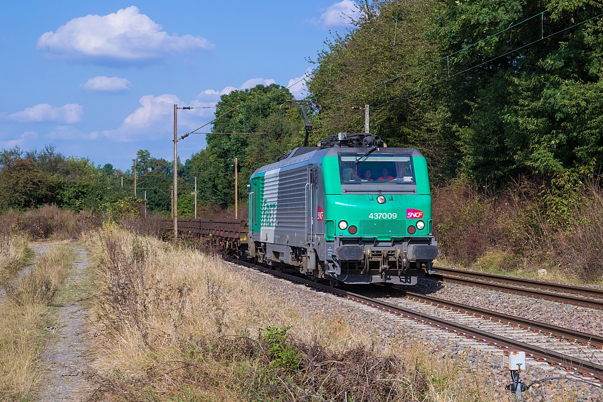  (20160923-154510_SNCF 437009_zwischen Brettnach und Téterchen-44257_Dunkerque-SDLH_b1.jpg)