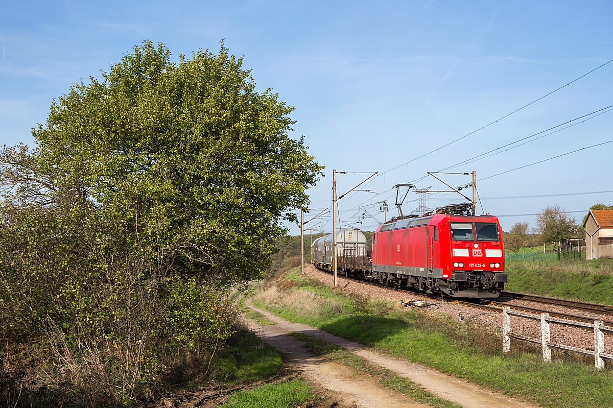  (20221028-141621_185 039_Téterchen_44241_Woippy-RMR_a.jpg)