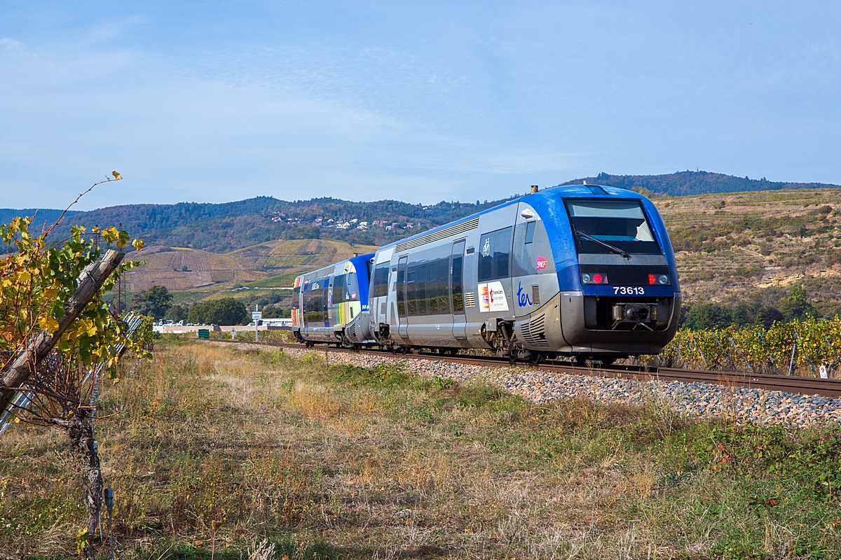  (20231017-121837_SNCF 73613-73904_zw Logelbach und Ingersheim_TER 831534_Colmar-Metzeral_a.jpg)