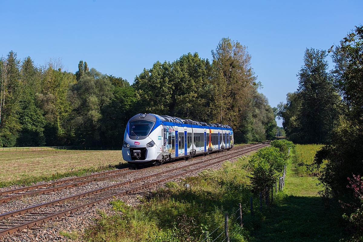  (20240828-103840_SNCF 83553M_zwischen Lauterbourg und Mothern PN72_Lz 702717_Lauterbourg-Roeschwoog_b.jpg)