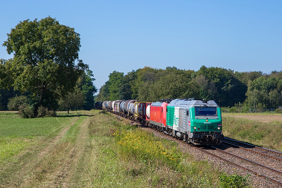  (20240828-110239_SNCF 475123-185 166_zwischen Seltz und Munchhausen_46858_Hausbergen Triage - Wörth_am.jpg)