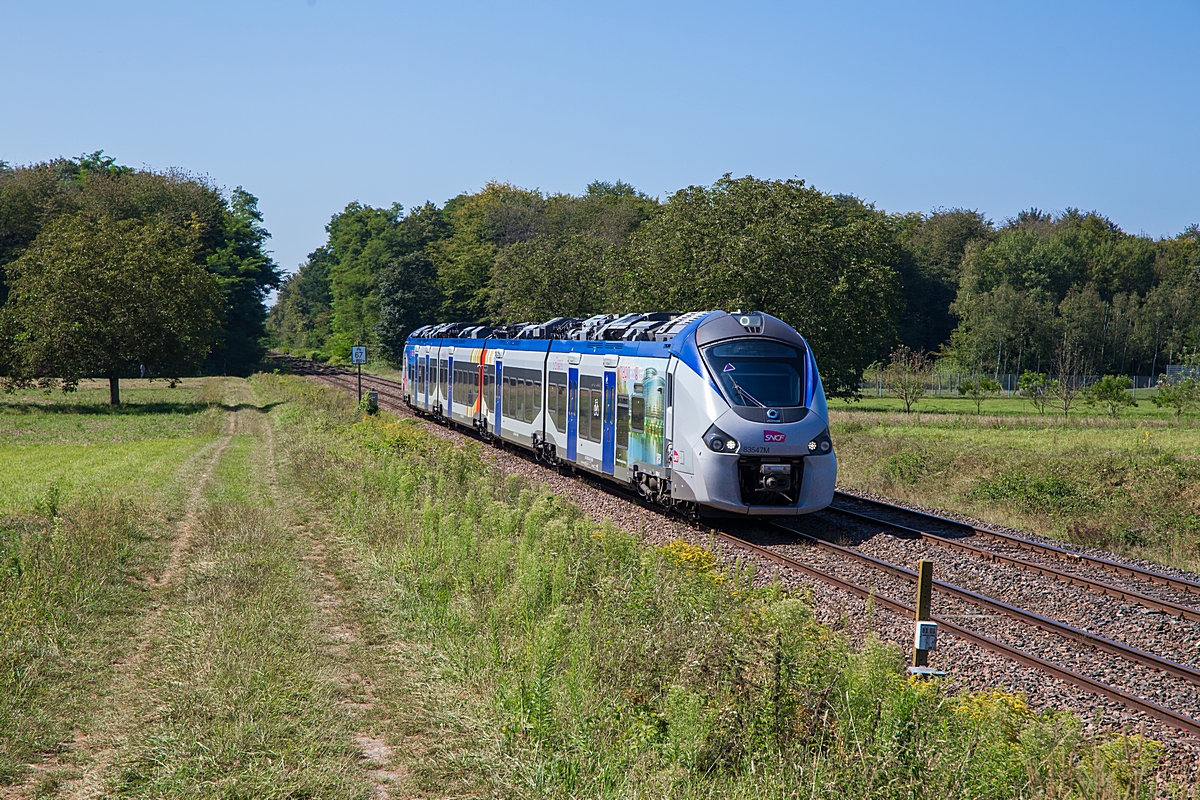  (20240828-121319_SNCF 83547M_zwischen Seltz und Munchhausen_TER 830714_Strasbourg-Lauterbourg_a2.jpg)