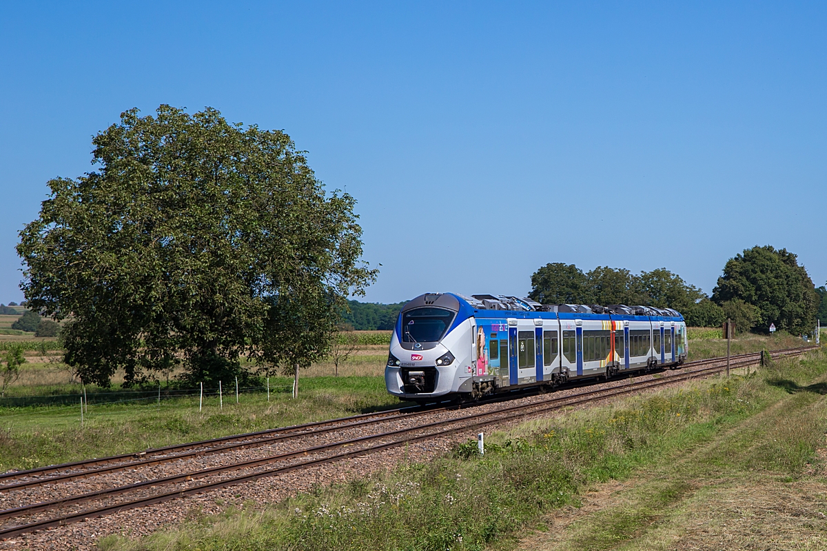  (20240828-125254_SNCF 83548M_zwischen Munchhausen und Seltz_TER 830721_Lauterbourg-Strasbourg_a.jpg)