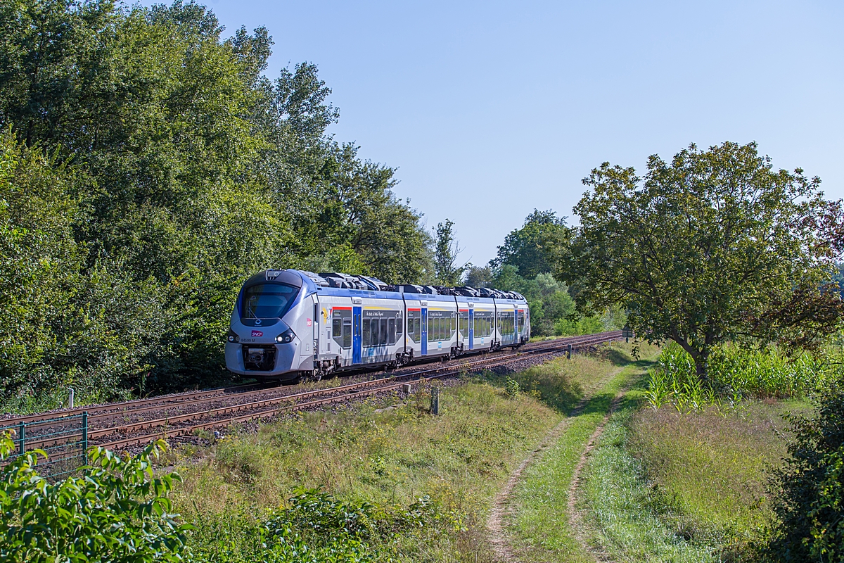  (20240828-171045_SNCF 84599M_Beinheim PN 61_TER 830726_Strasbourg-Lauterbourg_b.jpg)