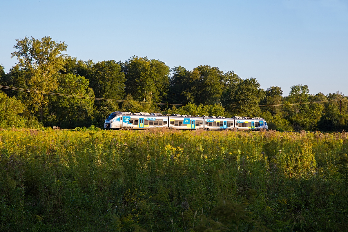  (20240828-192111_SNCF 84593M_zwischen Mothern und Lauterbourg PN72_TER 830734_Strasbourg-Lauterbourg_am.jpg)