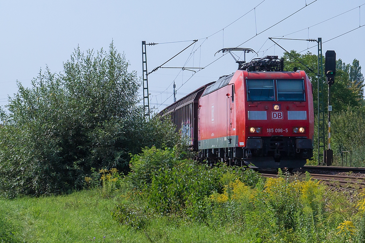  (20170826-152514_185 096_Ellental_GB 46297_Schwetzingen - Buchs SG_a.jpg)