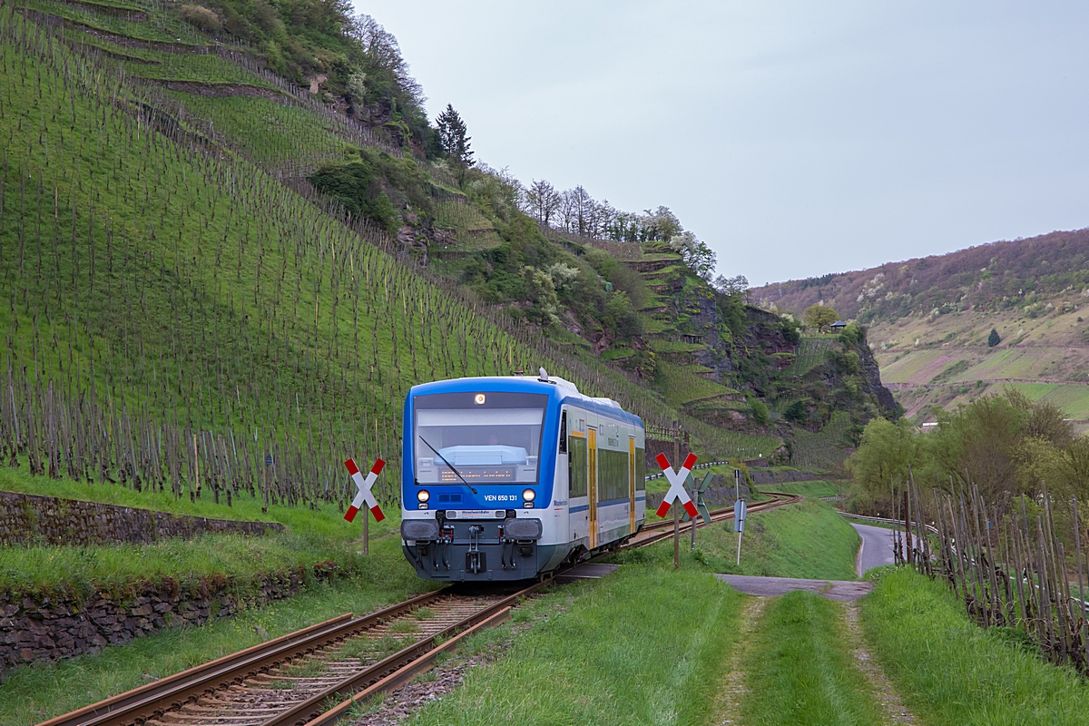  (20240406-184644_650 131_zwischen Reil und Kövenig_RB 88084_Bullay - Traben-Trarbach_b.jpg)