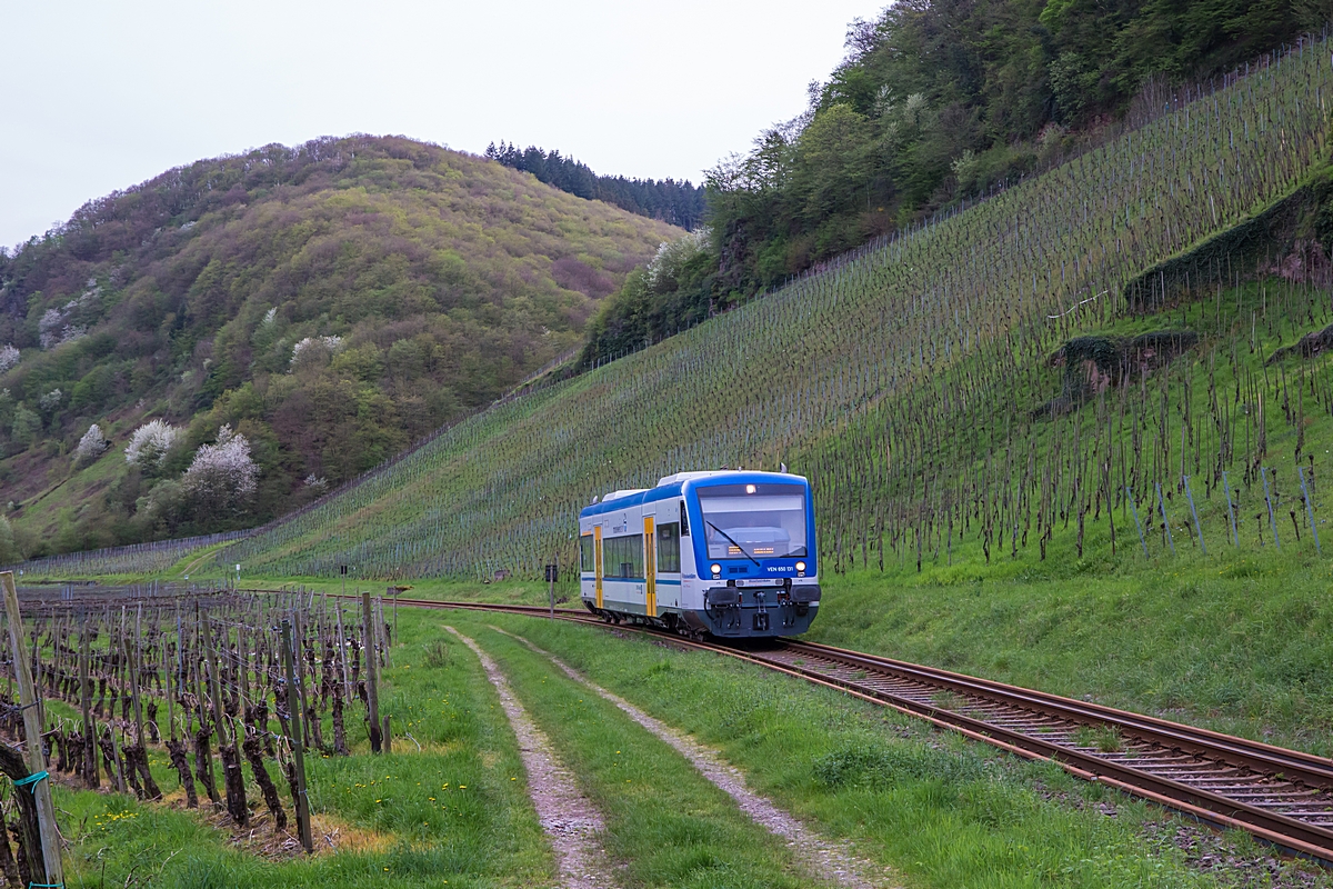  (20240406-190944_650 131_zwischen Kövenig und Reil_RB 88085_Traben-Trarbach - Bullay_b.jpg)