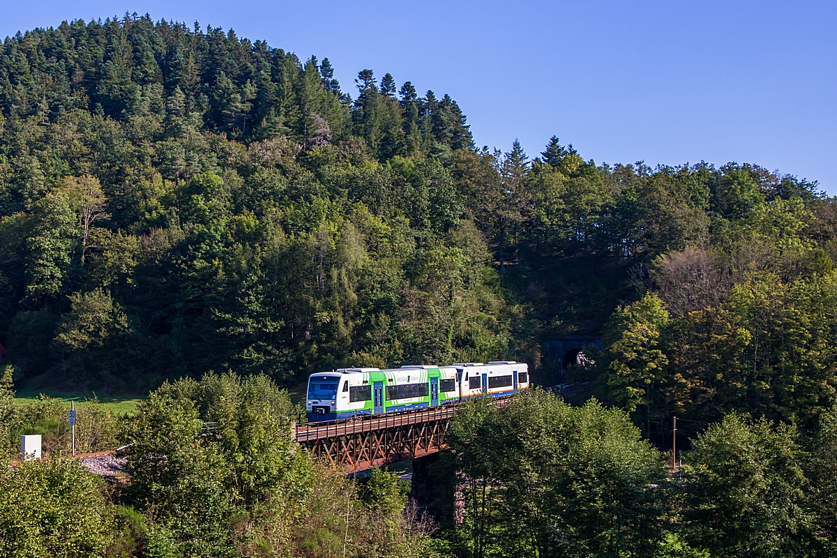  (20240921-102258_650 038-650 594_Schenkenzell_RB 87630_Freudenstadt Hbf - Hausach_a1.jpg)