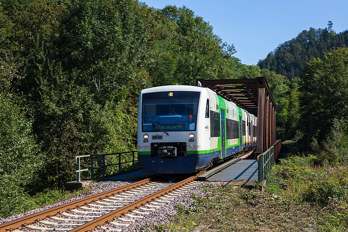  (20240921-123826_650 038-650 594_Vorderlehengericht_RB 87634_Freudenstadt Hbf - Hausach_b.jpg)