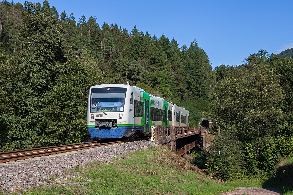  (20240921-162433_650 038-650 594_zwischen Schenkenzell und Schiltach_RB 88594_Freudenstadt Hbf - Hausach_a1.jpg)