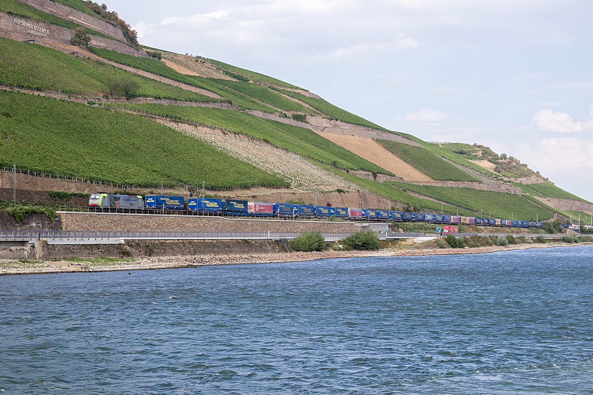  (20180817-165142_BLS 486 507_zw Rüdesheim und Assmannshausen_b.jpg)