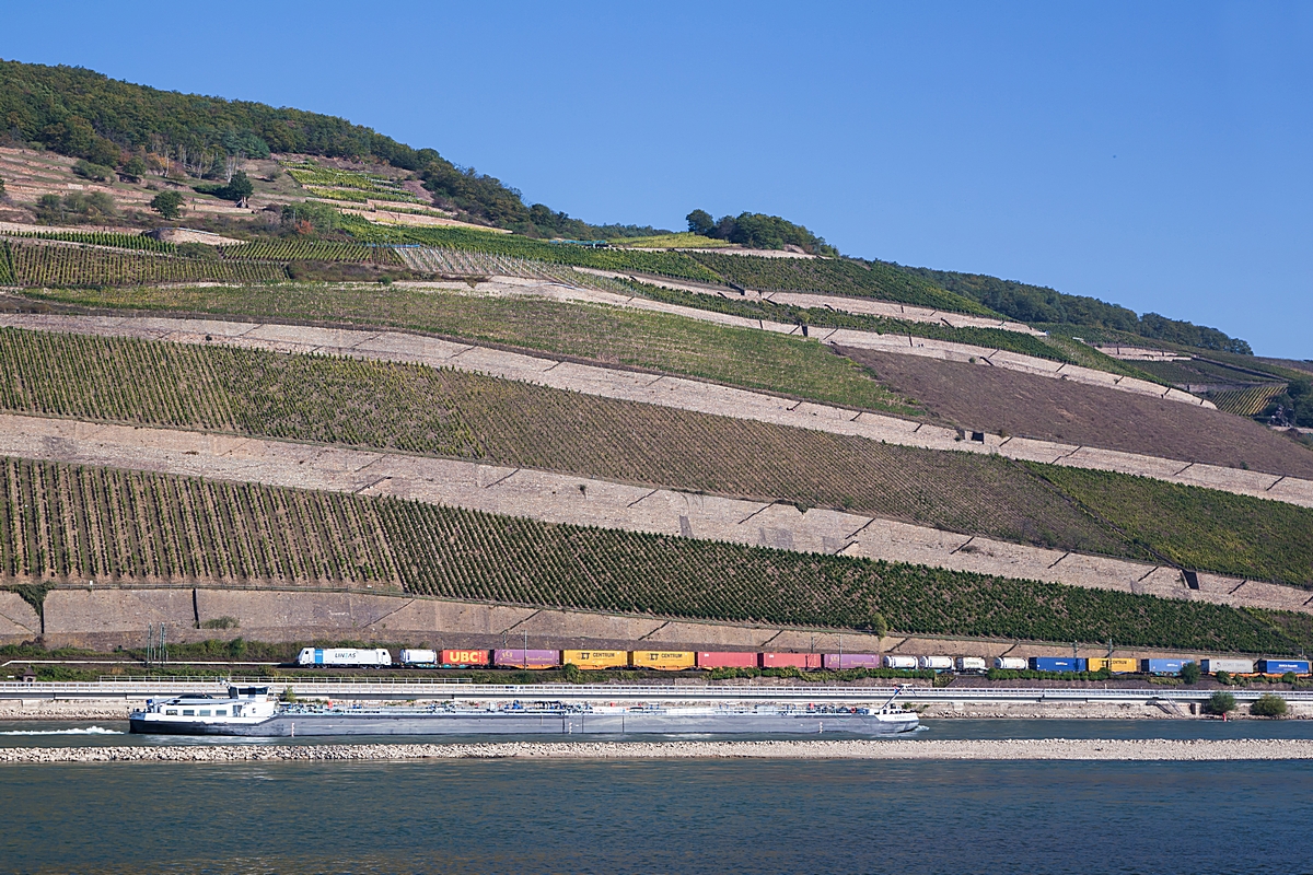  (20211009-114442_186 492_zw Rüdesheim und Assmannshausen_DGS 40676_Passau Gbf - Genk-Goederen_am.jpg)