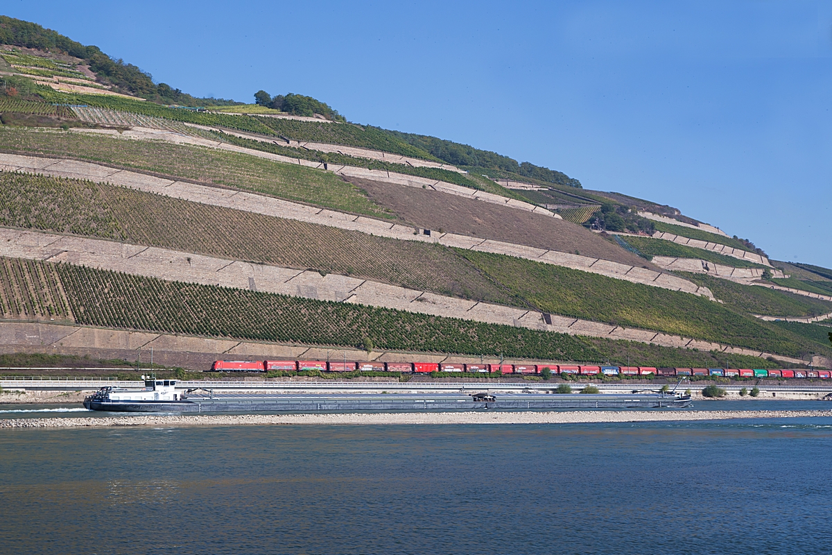  (20211009-121630_185 277_zw Rüdesheim und Assmannshausen_EZ 51857_RMR - Wanne-Eickel_am.jpg)