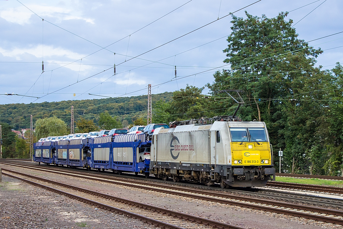  (20140919-174818_186 313_Dudweiler_XP 42298_SEF-Cerbere_a.jpg)